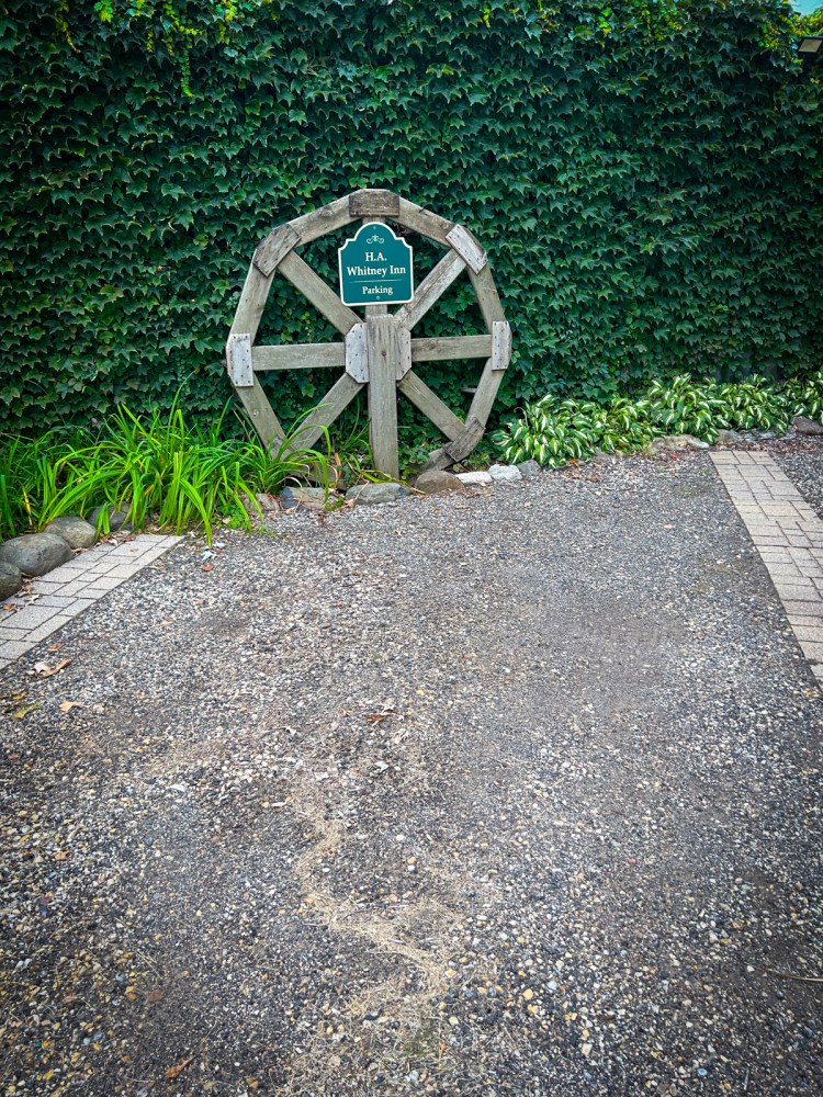 Private off-street parking at the H.A. Whitney Inn parking area, with motion lighting, surrounded by lush green ivy and plants.
